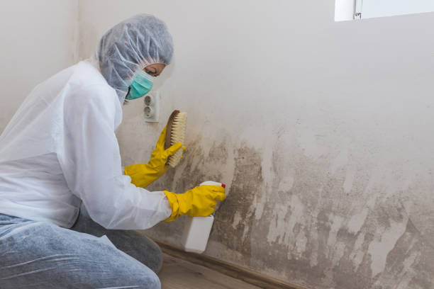 Best Residential Mold Removal  in Glasgow, VA