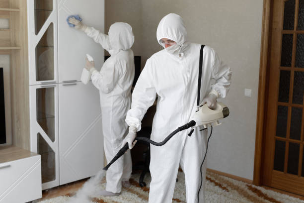 Best Office Mold Removal Services  in Glasgow, VA