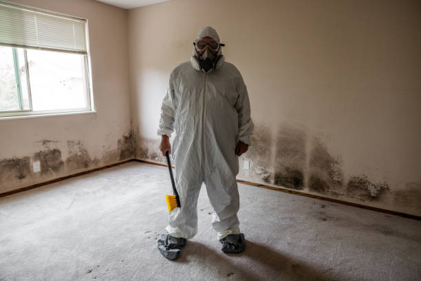 Best Mold Testing  in Glasgow, VA