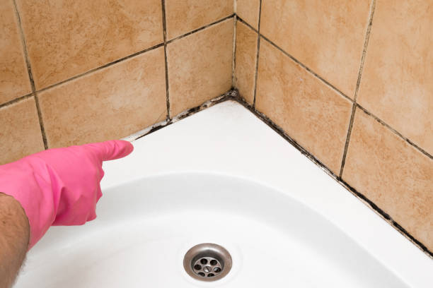 Best Emergency Mold Removal  in Glasgow, VA